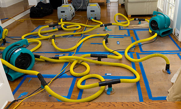 Professional Emergency Water Removal technician working in Herndon, VA